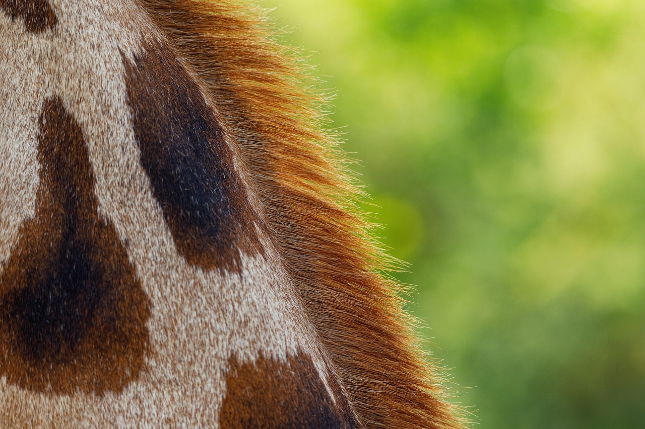 Comment financer sa startup sans recourir aux investisseurs traditionnels ?